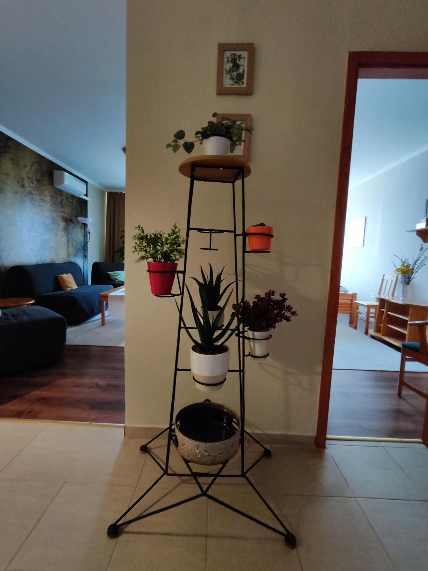 شقة St. Benedek Apartmanlakas Mezőkövesd المظهر الخارجي الصورة